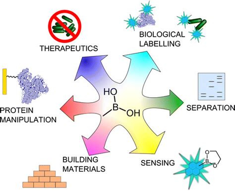 Boronic acids for sensing and other applications